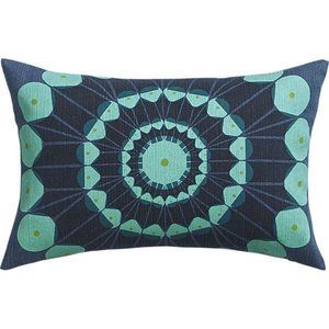 CB2 Optic pillows pair $35